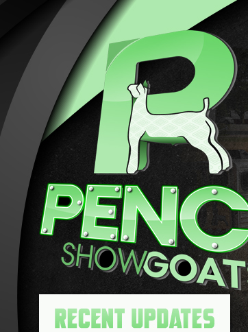 Pence Show Goats