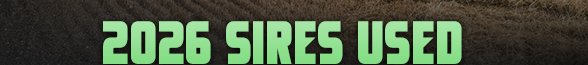 2023 Sires Used